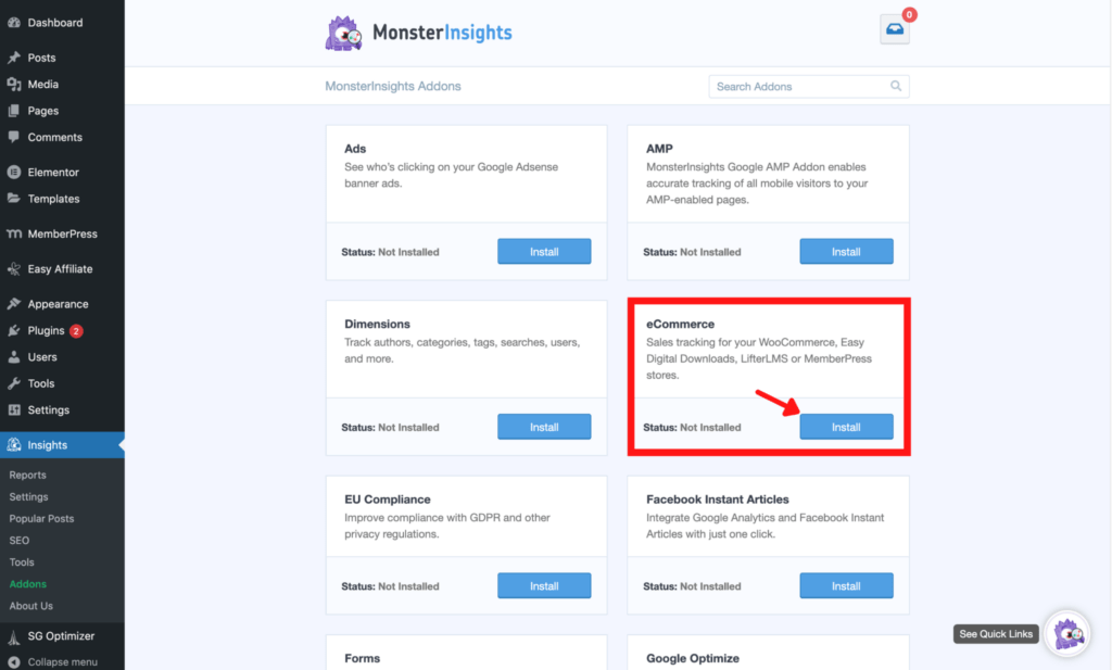 MonsterInsights eCommerce add-on installation 